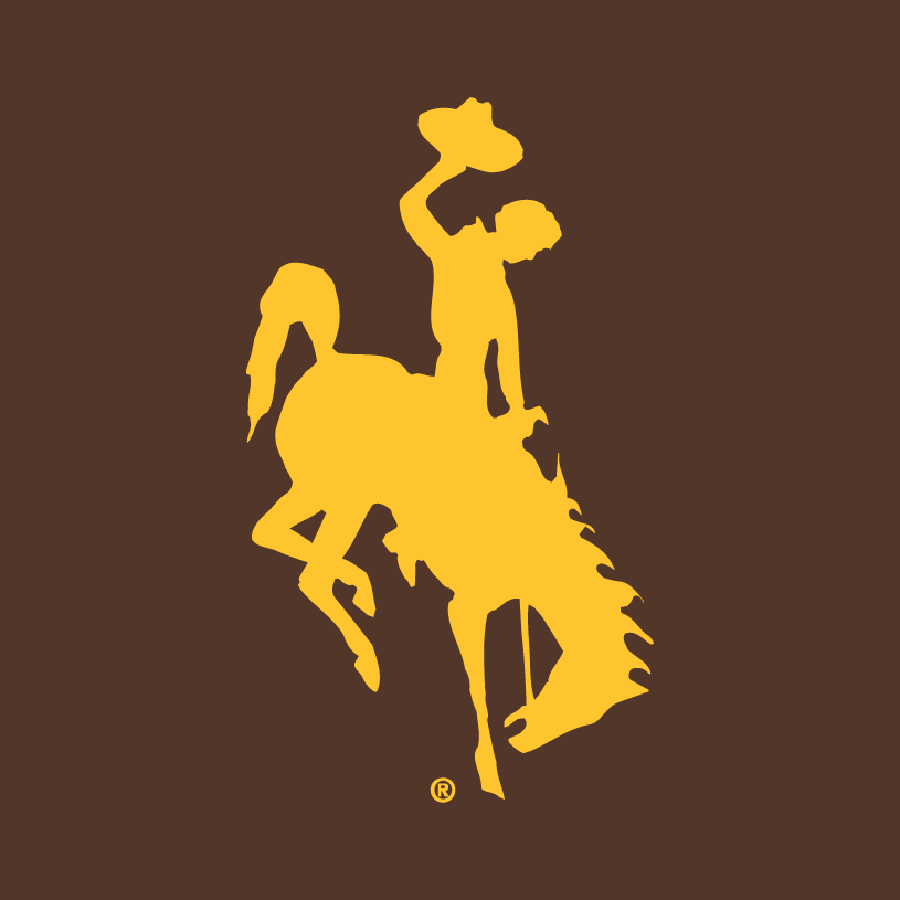 Wyoming Cowboys 2006-Pres Alternate Logo v2 iron on transfers for clothing